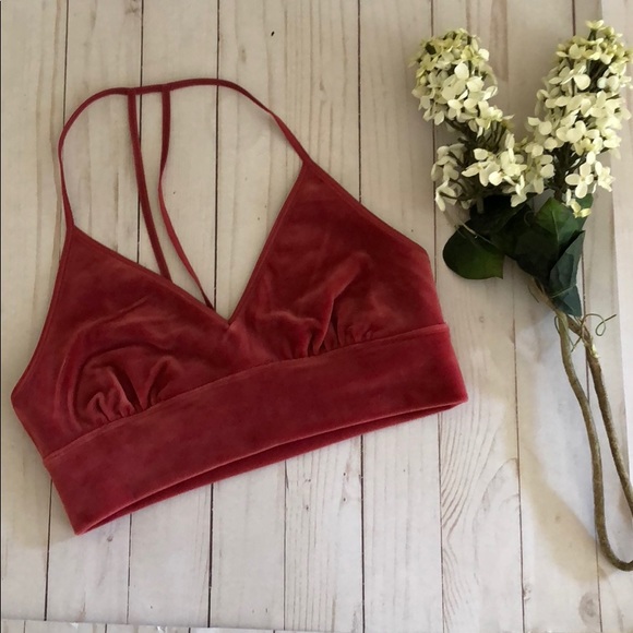 Anthropologie Other - NWT Anthropologie Floreat Velour T Back Bralette M